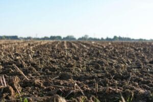 Farming for the future: Claydon Drills and the regenerative Journey