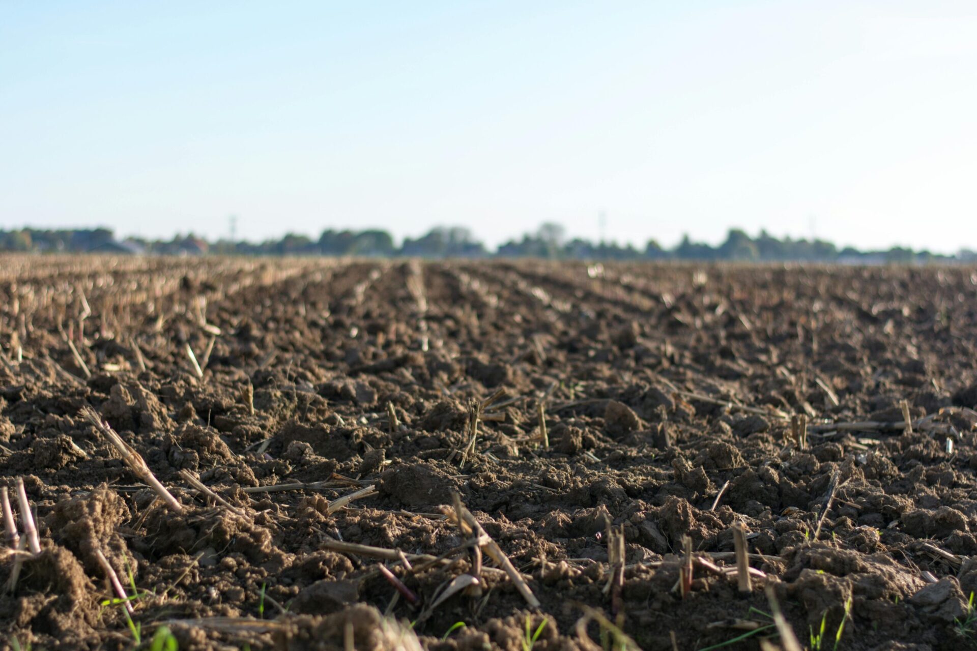 Farming for the future: Claydon Drills and the regenerative Journey