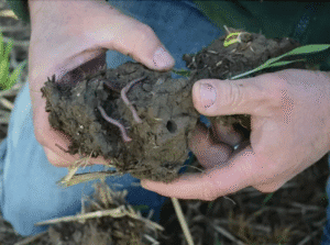 Sea2Soil sets market-leading results in grassland trials testing a range of biologicals