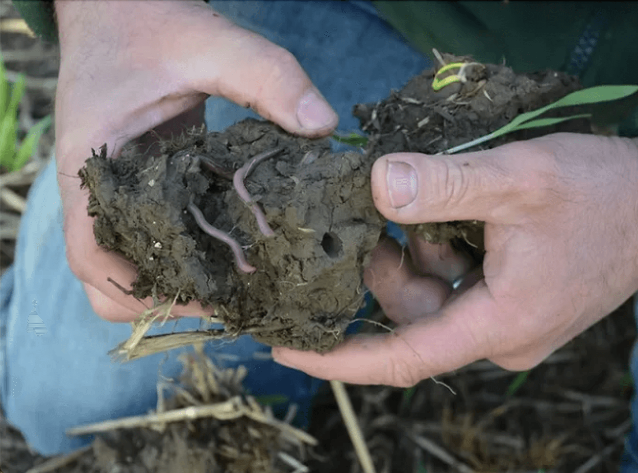 Sea2Soil sets market-leading results in grassland trials testing a range of biologicals